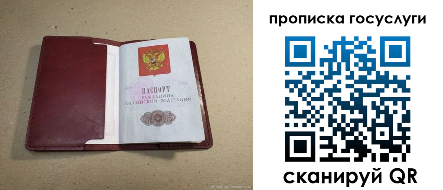 регистрация в Саранске